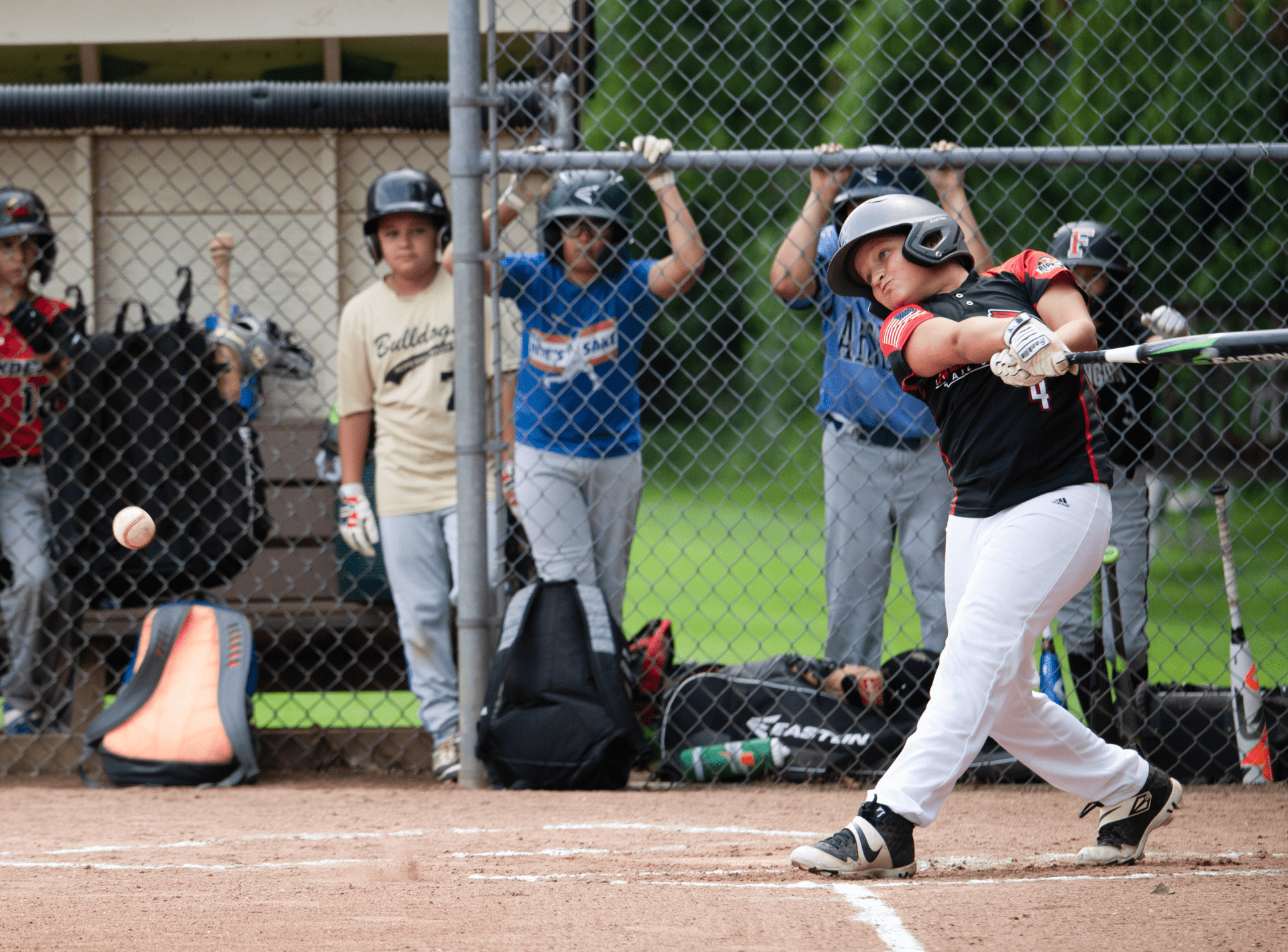 AlumniBaseballCamp.com