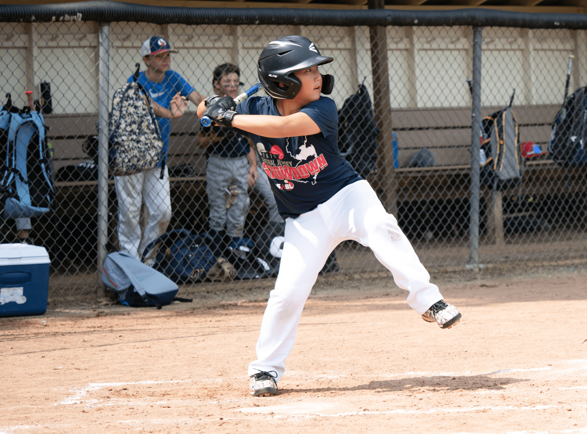 AlumniBaseballCamp.com