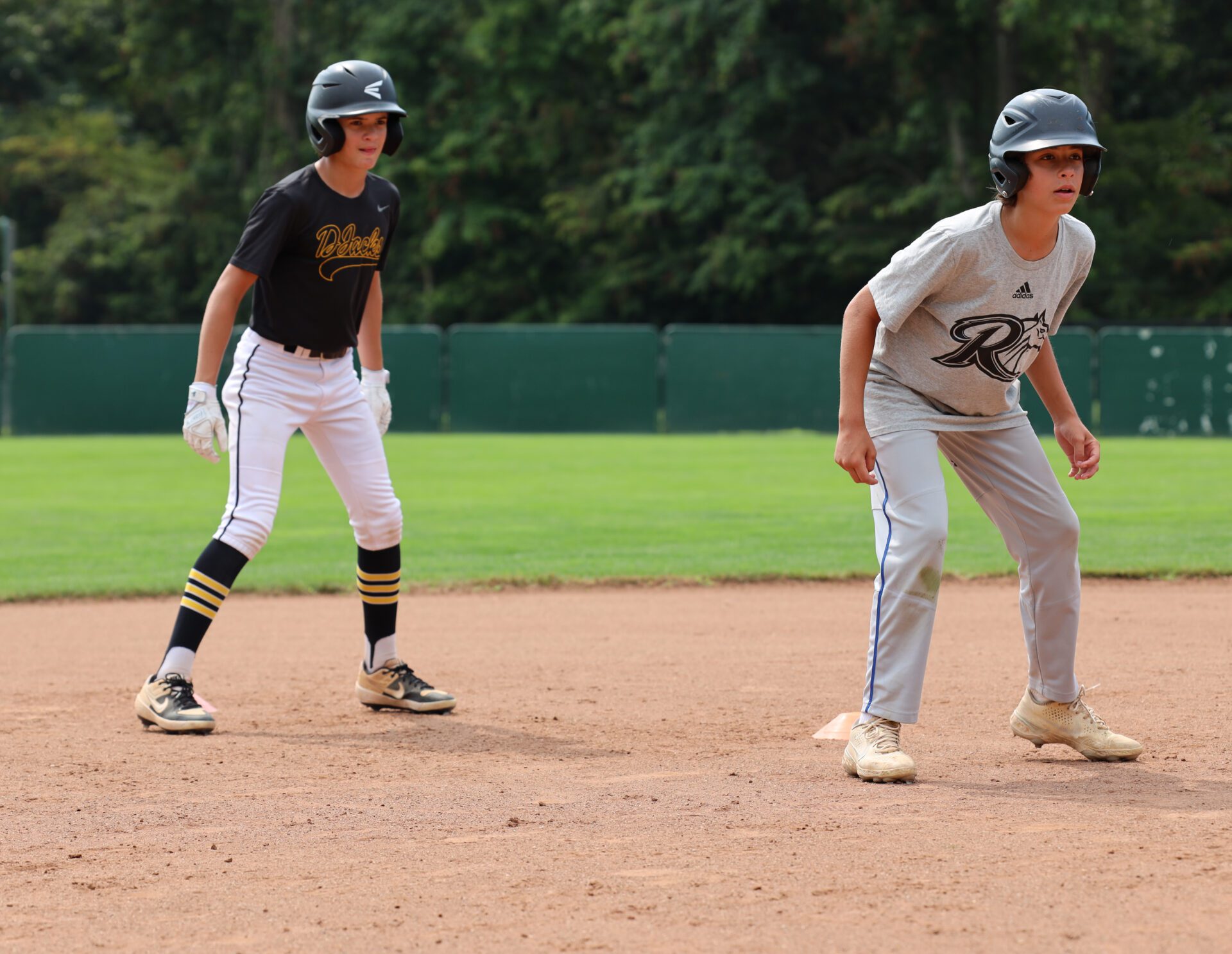 AlumniBaseballCamp.com